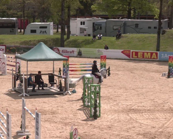 FEI Springturnier Stadl Paura 2024