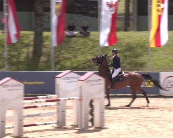 FEI Springturnier Stadl Paura 2024