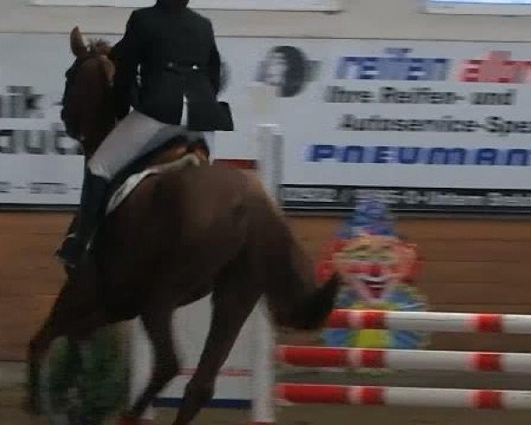 Voßwinkeler Hallenreitertage 2012