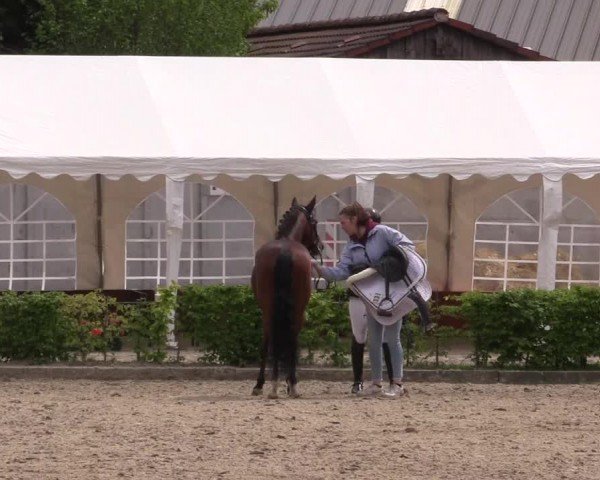 Reitturnier Olfen-Vinnum 2024