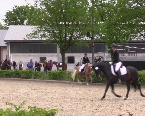 Reitturnier Olfen-Vinnum 2024