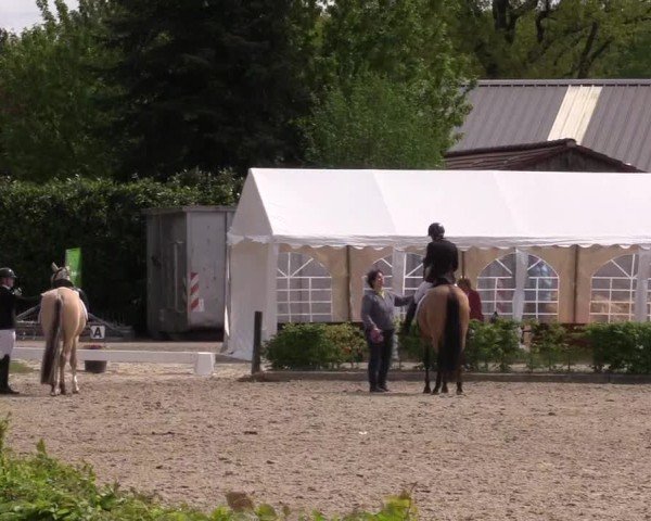Reitturnier Olfen-Vinnum 2024