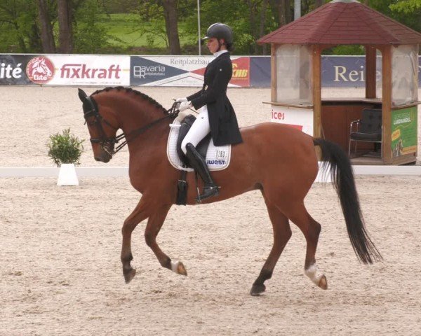 Reitturnier Karlsfeld/Obb. 2024
