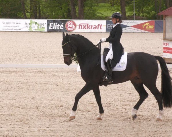 Reitturnier Karlsfeld/Obb. 2024