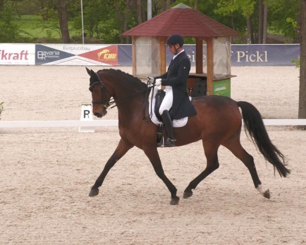 Reitturnier Karlsfeld/Obb. 2024