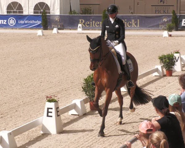 Reitturnier Karlsfeld/Obb. 2024