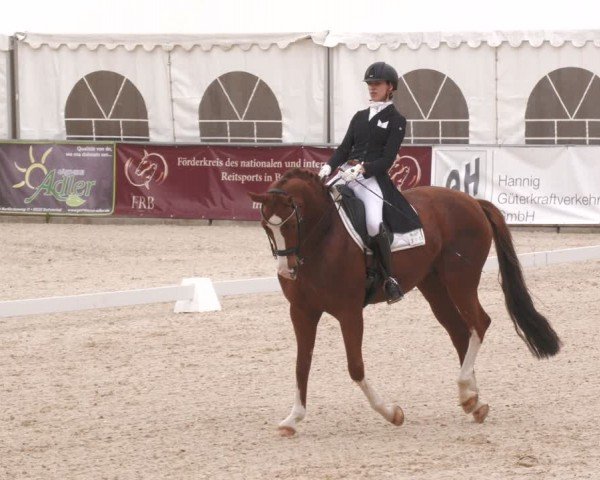 Reitturnier Karlsfeld/Obb. 2024