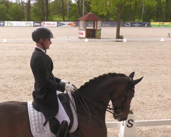 Reitturnier Karlsfeld/Obb. 2024