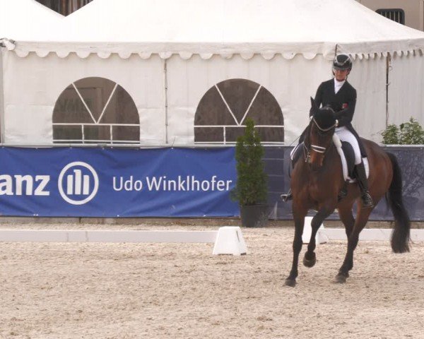 Reitturnier Karlsfeld/Obb. 2024