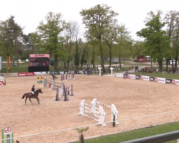 FEI Springturnier Stadl Paura 2024