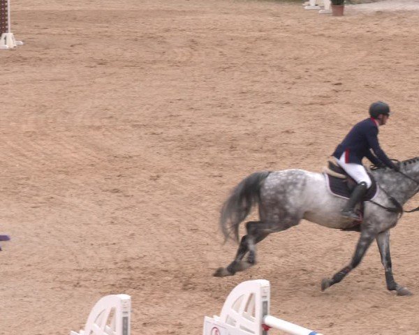 FEI Springturnier Stadl Paura 2024
