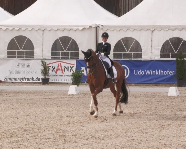 Reitturnier Karlsfeld/Obb. 2024