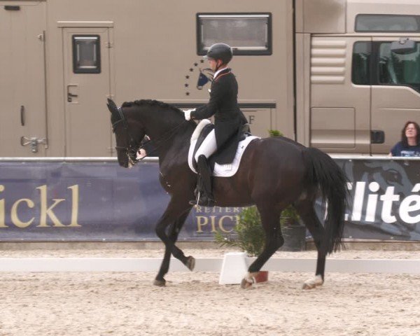 Reitturnier Karlsfeld/Obb. 2024