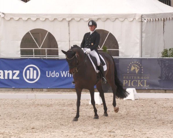Reitturnier Karlsfeld/Obb. 2024