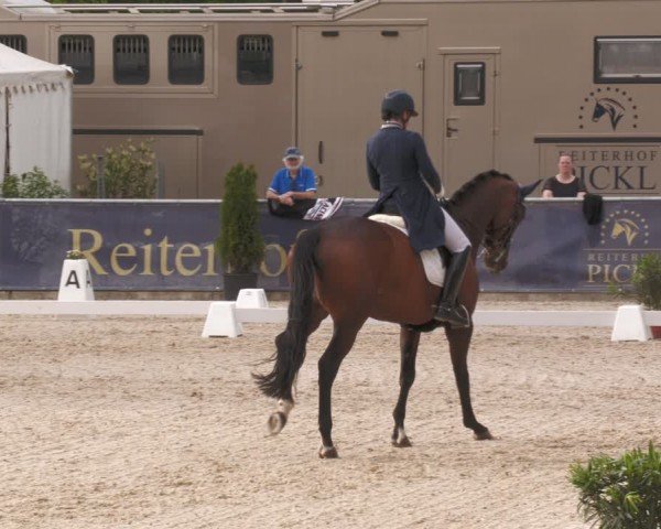 Reitturnier Karlsfeld/Obb. 2024