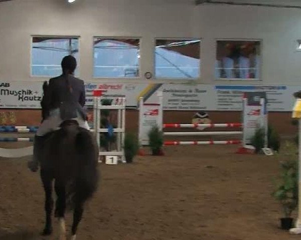Voßwinkeler Hallenreitertage 2012
