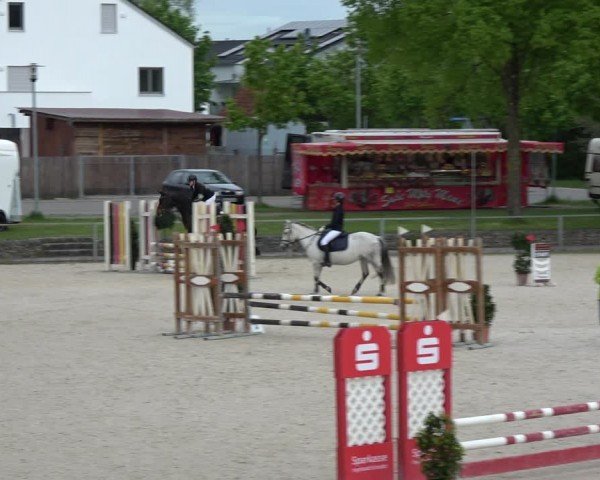 Reitturnier Ingolstadt-Hagau/Obb. 2024