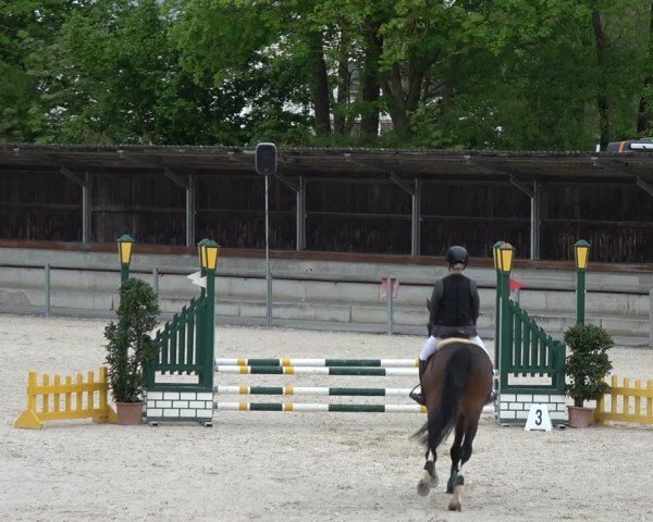 Reitturnier Ingolstadt-Hagau/Obb. 2024