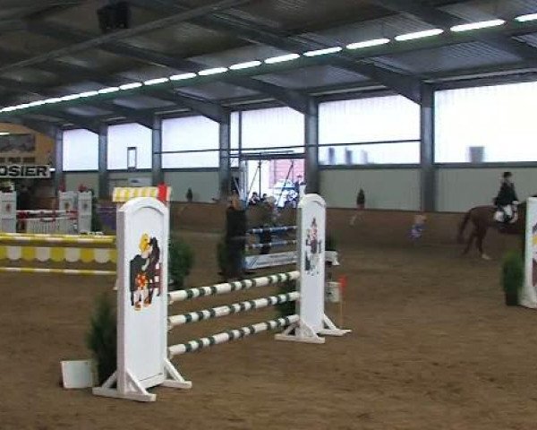 Voßwinkeler Hallenreitertage 2012