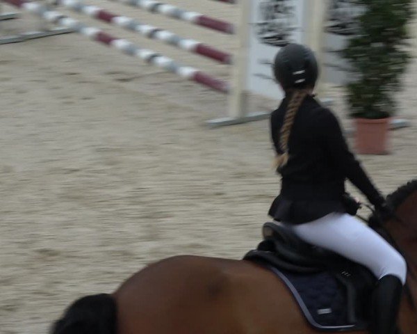 Reitturnier Ingolstadt-Hagau/Obb. 2024