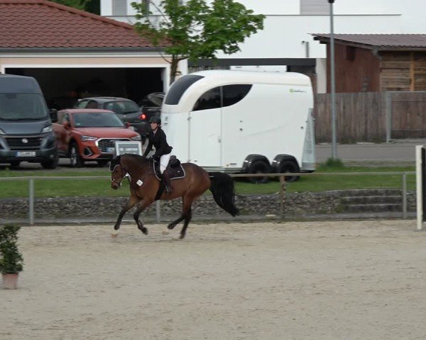 Reitturnier Ingolstadt-Hagau/Obb. 2024