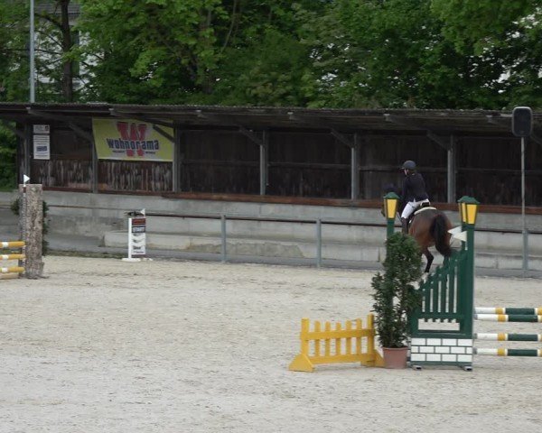 Reitturnier Ingolstadt-Hagau/Obb. 2024