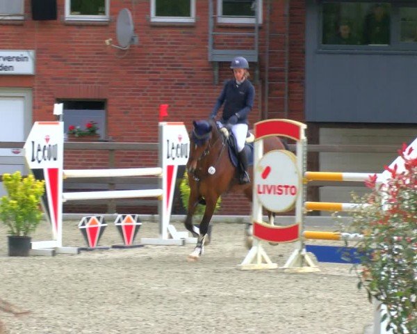 Reitturnier Heiden 2024