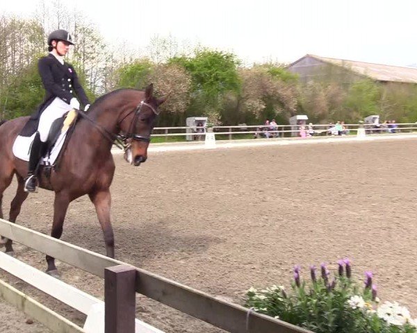 Reitturnier Ladelunder Turniertage 2024