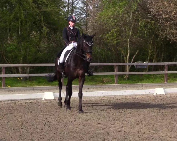 Reitturnier Ladelunder Turniertage 2024