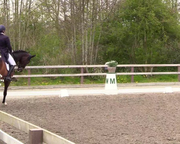 Reitturnier Ladelunder Turniertage 2024