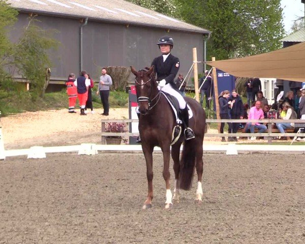 Reitturnier Ladelunder Turniertage 2024