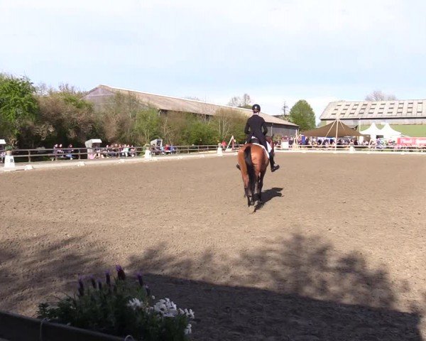 Reitturnier Ladelunder Turniertage 2024