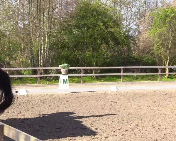 Reitturnier Ladelunder Turniertage 2024