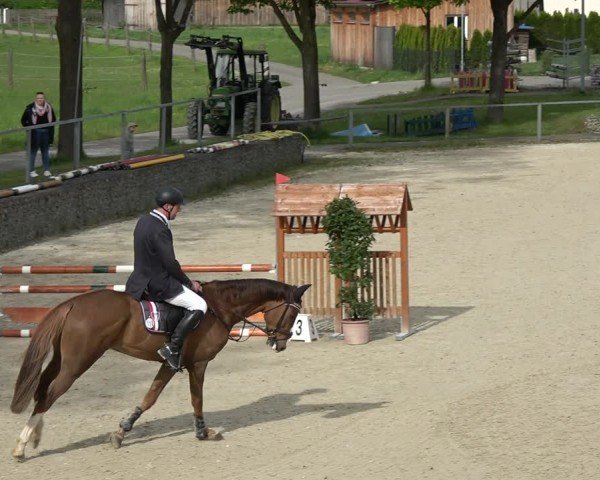 Reitturnier Ingolstadt-Hagau/Obb. 2024