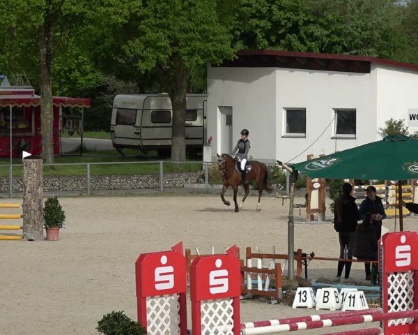 Reitturnier Ingolstadt-Hagau/Obb. 2024
