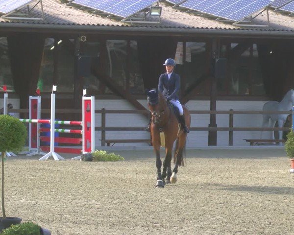 Reitturnier Heiden 2024