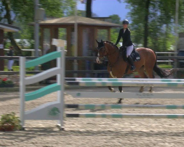 Reitturnier Heiden 2024
