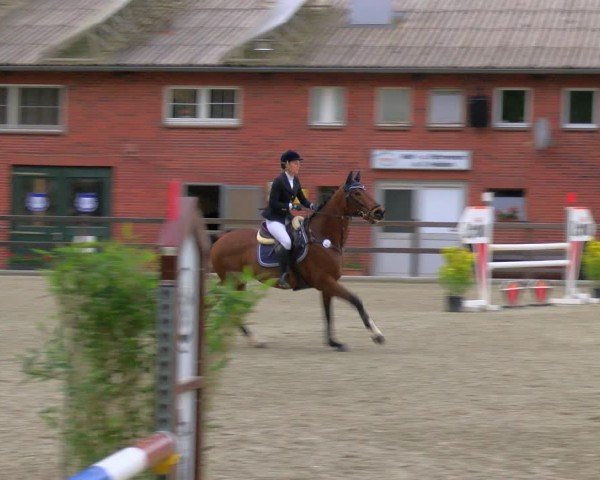 Reitturnier Heiden 2024