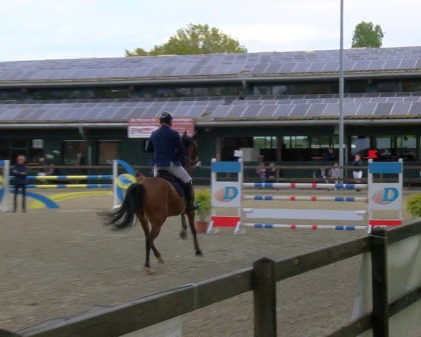 Reitturnier Heiden 2024
