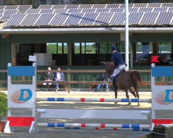 Reitturnier Heiden 2024