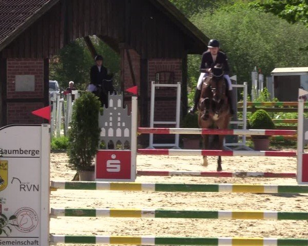 Reitturnier Nienberge 2024