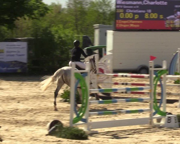 Reitturnier Nienberge 2024
