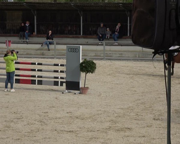 Reitturnier Ingolstadt-Hagau/Obb. 2024