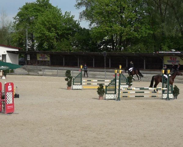 Reitturnier Ingolstadt-Hagau/Obb. 2024