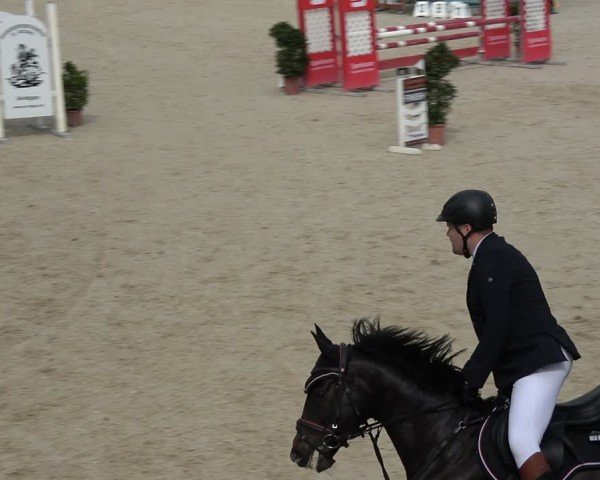 Reitturnier Ingolstadt-Hagau/Obb. 2024