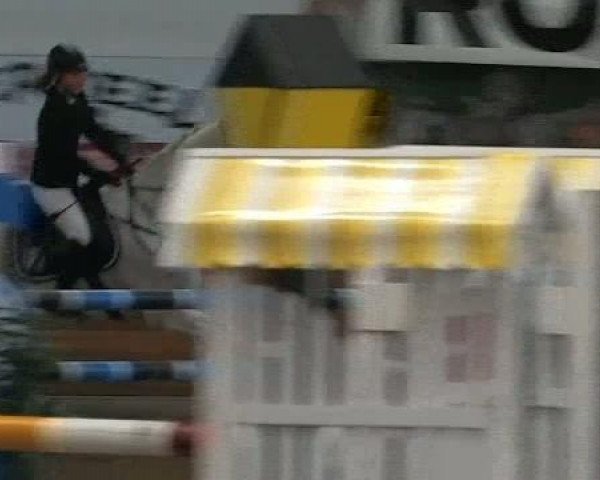 Voßwinkeler Hallenreitertage 2012