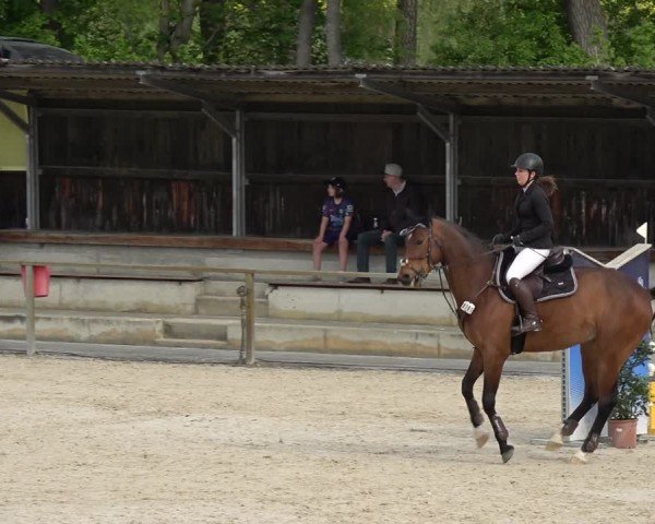 Reitturnier Ingolstadt-Hagau/Obb. 2024