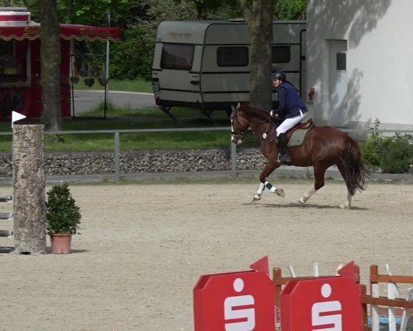 Reitturnier Ingolstadt-Hagau/Obb. 2024