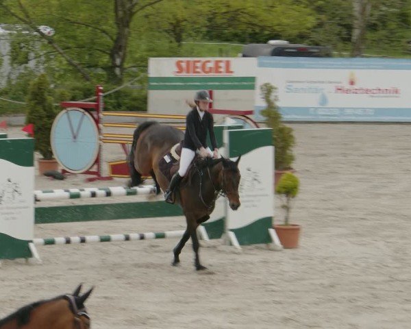 Reitturnier Monheim - Gut Blee 2024