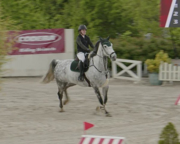 Reitturnier Monheim - Gut Blee 2024